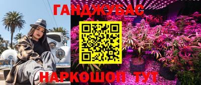 спиды Нарткала