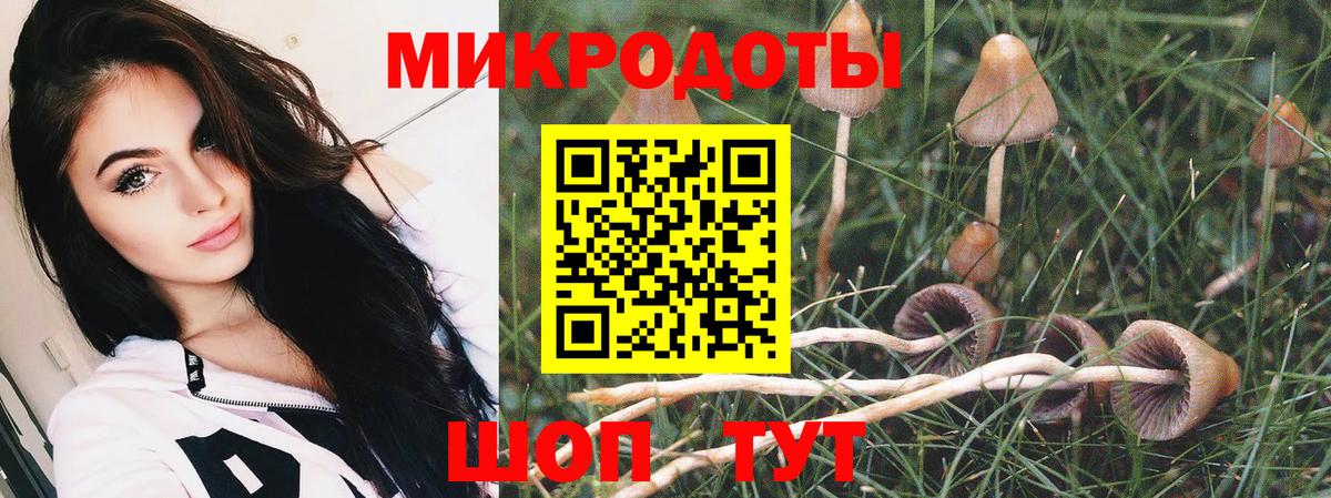 Улан-Удэ  Галлюциногенные грибы Psilocybe  Вход с VPN  Галлюциногенные грибы мицелий 
