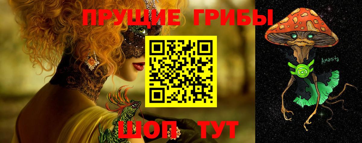 Псилоцибиновые грибы Cubensis Улан-Удэ